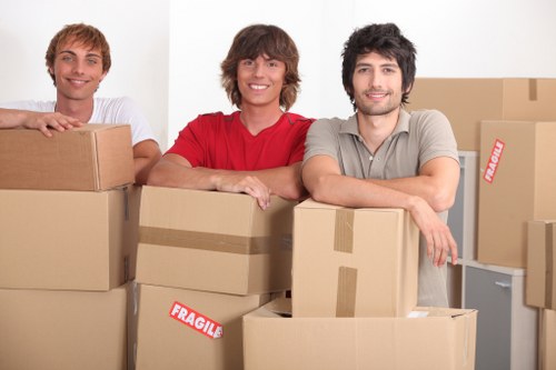 Practical storage setup for household belongings in Pimlico