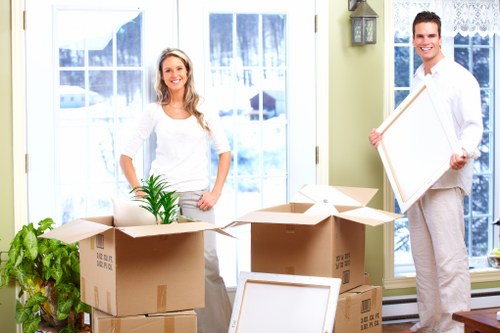 Man and van team loading boxes during a Pimlico move